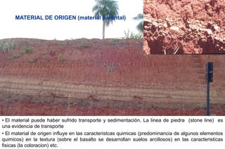 MATERIAL DE ORIGEN (material parental)
• El material puede haber sufrido transporte y sedimentación. La linea de piedra (stone line) es
una evidencia de transporte
• El material de origen influye en las caracteristcas quimicas (predominancia de algunos elementos
quimicos) en la textura (sobre el basalto se desarrollan suelos arcillosos) en las caracteristicas
fisicas (la coloracion) etc.
 