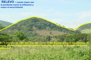 RELEVO - cuanto mayor sea
la pendiente menor la infitracion y
mayor el escurrimiento
En la posición de cota mas baja del relevo, el mal drenaje provoca acumulación de
agua , y como consecuencia ocurre la reducción del hierro, originando los suelos
gleisados
 