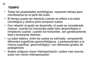 TIEMPO
• Todas las propiedades morfológicas requieren tiempo para
manifestarse en el perfil del suelo
• El tiempo puede ser absoluto cuando se refiere a la edad
cronológica y relativo para comparar suelos
• Con relación al grado de desarrollo, el suelo es considerado
maduro cuando los horizontes están bien desarrollados e
inmaduros cuando cuando los horizontes son genéticamente
total o levemente distintos
• La edad relativa entre los suelos es estimada comparando
diferentes superficies geomorfológicos o pertenecientes a la
misma superficie geomorfológico con diferentes grados de
pedogénesis
• Suelos antiguos mayor intemperización, suelos mas nuevos,
suelo con menor intemperización
33
 