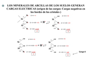 Si
Al
o
o
o
+1
+1
+1/2
+1/2
-2 +1 = -1
-2 + 1+ 1/2= -1/2
-2 + 1/2 = -1 1/2
-3
+ H+
Si
Al
o
o
OH
+1
+1
+1/2
+1/2
-2 +1+1 = O
-2 + 1+ 1/2= -1/2
-2 + 1/2 = -1 1/2
-2
Si
Al
o
OH
+1
+1
+1/2
+1/2
-2 +1+1 = O
-2 + 1+ 1+1/2= +1/2
-2 + 1/2 = -1 1/2
-1
+ H+
Si
Al
OH
+1
+1
+1/2
+1/2
-2 +1+1 = O
-2 + 1+ 1+1/2= +1/2
-2 + 1/2 + 1 = -1/2
O
OH OH
OH
LOS MINERALES DE ARCILLAS DE LOS SUELOS GENERAN
CARGAS ELECTRICAS (origen de las cargas: Cargas negativas en
los bordes de los cristales )
Carga 0
35
 