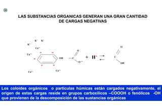 -
-
- -
-
OH
O
O -
K+
K+
K+
Ca++
Ca++
Ca++
Ca++
+ H+
O
OH
C
C
LAS SUBSTANCIAS ORGANICAS GENERAN UNA GRAN CANTIDAD
DE CARGAS NEGATIVAS
Los coloides orgánicos o particulas húmicas están cargados negativamente, el
origen de estas cargas reside en grupos carboxílicos –COOOH o fenólicos -OH
que provienen de la descomposición de las sustancias orgánicas
36
 