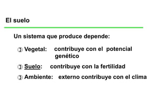 El suelo
Vegetal: contribuye con el potencial
genético
Suelo: contribuye con la fertilidad
Ambiente: externo contribuye con el clima
)
)
)
Un sistema que produce depende:
 