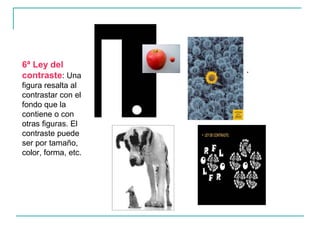 6ª Ley del
                     .
contraste: Una
figura resalta al
contrastar con el
fondo que la
contiene o con
otras figuras. El
contraste puede
ser por tamaño,
color, forma, etc.
 