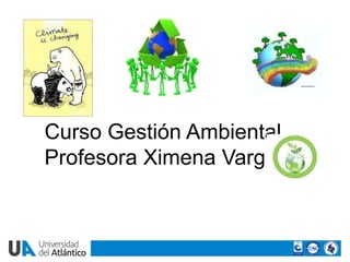 Curso Gestión Ambiental
Profesora Ximena Vargas
 