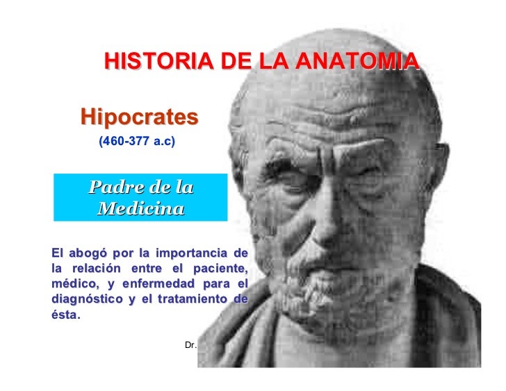 A Quien Se Le Considera El Padre De La Anatomia