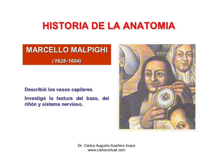 Historia De La Anatomia