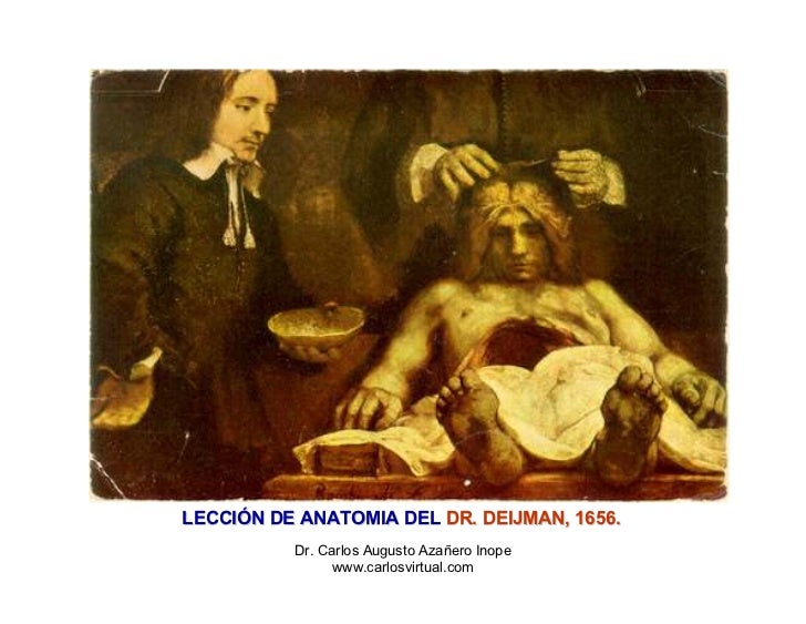 Historia De La Anatomia