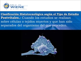 Clasificación Histotecnológica según el Tipo de EstudioClasificación Histotecnológica según el Tipo de Estudio
PostvitalesPostvitales.- Cuando los estudios se realizan
sobre células o tejidos muertos y que han sido
separados del organismo del que proceden.
 