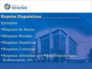 Biopsias DiagnósticasBiopsias Diagnósticas
Ejemplos:
•Biopsias de Mama
•Biopsias Renales
•Biopsias Hepáticas
•Biopsias Cutáneas
•Biopsias obtenidas por Fibrobroncoscopía,
Endoscopías, etc.
 