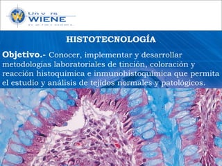 HISTOTECNOLOGÍA
Objetivo.- Conocer, implementar y desarrollar
metodologías laboratoriales de tinción, coloración y
reacción histoquímica e inmunohistoquímica que permita
el estudio y análisis de tejidos normales y patológicos.
 