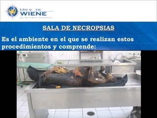 SALA DE NECROPSIASSALA DE NECROPSIAS
Es el ambiente en el que se realizan estos
procedimientos y comprende:
 