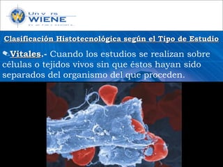 Clasificación Histotecnológica según el Tipo de EstudioClasificación Histotecnológica según el Tipo de Estudio
✎VitalesVitales.- Cuando los estudios se realizan sobre
células o tejidos vivos sin que éstos hayan sido
separados del organismo del que proceden.
 