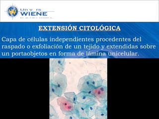 EXTENSIÓN CITOLÓGICAEXTENSIÓN CITOLÓGICA
Capa de células independientes procedentes del
raspado o exfoliación de un tejido y extendidas sobre
un portaobjetos en forma de lámina unicelular.
 
