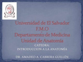 CATEDRA:
INTRODUCCION A LA ANATOMÍA
DR. AMADEO A. CABRERA GUILLÉN
 
