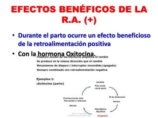 EFECTOS BENÉFICOS DE LA
R.A. (+)
• Durante el parto ocurre un efecto beneficioso
de la retroalimentación positiva
• Con la hormona Oxitocina.
 