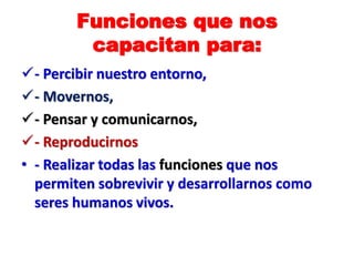 Funciones que nos
capacitan para:
- Percibir nuestro entorno,
- Movernos,
- Pensar y comunicarnos,
- Reproducirnos
• - Realizar todas las funciones que nos
permiten sobrevivir y desarrollarnos como
seres humanos vivos.
 