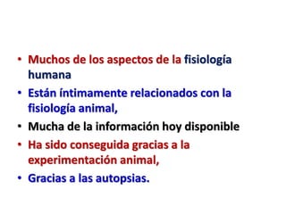 • Muchos de los aspectos de la fisiología
humana
• Están íntimamente relacionados con la
fisiología animal,
• Mucha de la información hoy disponible
• Ha sido conseguida gracias a la
experimentación animal,
• Gracias a las autopsias.
 