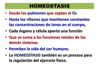 HOMEOSTASIS
• Desde los pulmones que captan el O2
• Hasta los riñones que mantienen constantes
las concentraciones de iones en el cuerpo,
• Cada órgano y célula aporta una función
• Que se suma a las funciones totales de los
demás sistemas
• Permiten la vida del ser humano.
• La HOMEOSTASIS también es un proceso para
la regulación del ejercicio físico.
 