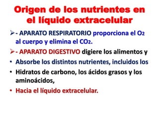 Origen de los nutrientes en
el líquido extracelular
- APARATO RESPIRATORIO proporciona el O2
al cuerpo y elimina el CO2.
- APARATO DIGESTIVO digiere los alimentos y
• Absorbe los distintos nutrientes, incluidos los
• Hidratos de carbono, los ácidos grasos y los
aminoácidos,
• Hacia el líquido extracelular.
 