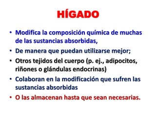 HÍGADO
• Modifica la composición química de muchas
de las sustancias absorbidas,
• De manera que puedan utilizarse mejor;
• Otros tejidos del cuerpo (p. ej., adipocitos,
riñones o glándulas endocrinas)
• Colaboran en la modificación que sufren las
sustancias absorbidas
• O las almacenan hasta que sean necesarias.
 