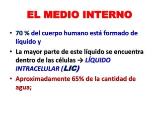 EL MEDIO INTERNO
• 70 % del cuerpo humano está formado de
líquido y
• La mayor parte de este líquido se encuentra
dentro de las células → LÍQUIDO
INTRACELULAR (LIC)
• Aproximadamente 65% de la cantidad de
agua;
 