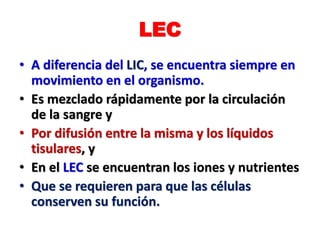 LEC
• A diferencia del LIC, se encuentra siempre en
movimiento en el organismo.
• Es mezclado rápidamente por la circulación
de la sangre y
• Por difusión entre la misma y los líquidos
tisulares, y
• En el LEC se encuentran los iones y nutrientes
• Que se requieren para que las células
conserven su función.
 