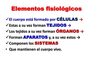 Elementos fisiológicos
El cuerpo está formado por CÉLULAS →
Estas a su vez forman TEJIDOS →
Los tejidos a su vez forman ÓRGANOS →
Forman APARATOS y, a su vez estos →
Componen los SISTEMAS
• Que mantienen el cuerpo vivo.
 