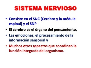 SISTEMA NERVIOSO
• Consiste en el SNC (Cerebro y la médula
espinal) y el SNP
• El cerebro es el órgano del pensamiento,
• Las emociones, el procesamiento de la
información sensorial y
• Muchos otros aspectos que coordinan la
función integrada del organismo.
 