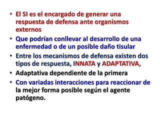 • El SI es el encargado de generar una
respuesta de defensa ante organismos
externos
• Que podrían conllevar al desarrollo de una
enfermedad o de un posible daño tisular
• Entre los mecanismos de defensa existen dos
tipos de respuesta, INNATA y ADAPTATIVA,
• Adaptativa dependiente de la primera
• Con variadas interacciones para reaccionar de
la mejor forma posible según el agente
patógeno.
 