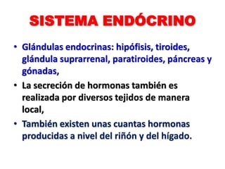 SISTEMA ENDÓCRINO
• Glándulas endocrinas: hipófisis, tiroides,
glándula suprarrenal, paratiroides, páncreas y
gónadas,
• La secreción de hormonas también es
realizada por diversos tejidos de manera
local,
• También existen unas cuantas hormonas
producidas a nivel del riñón y del hígado.
 