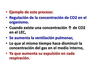 • Ejemplo de este proceso:
• Regulación de la concentración de CO2 en el
organismo.
• Cuando existe una concentración ↑ de CO2
en el LEC,
• Se aumenta la ventilación pulmonar,
• Lo que al mismo tiempo hace disminuir la
concentración del gas en el medio interno,
• Ya que aumenta su expulsión en cada
respiración.
 
