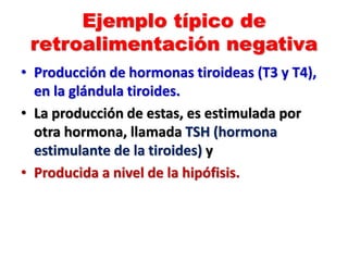 Ejemplo típico de
retroalimentación negativa
• Producción de hormonas tiroideas (T3 y T4),
en la glándula tiroides.
• La producción de estas, es estimulada por
otra hormona, llamada TSH (hormona
estimulante de la tiroides) y
• Producida a nivel de la hipófisis.
 