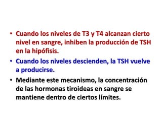 • Cuando los niveles de T3 y T4 alcanzan cierto
nivel en sangre, inhiben la producción de TSH
en la hipófisis.
• Cuando los niveles descienden, la TSH vuelve
a producirse.
• Mediante este mecanismo, la concentración
de las hormonas tiroideas en sangre se
mantiene dentro de ciertos límites.
 