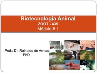 Biotecnología Animal
ZOOT - 435

Módulo # 1

Prof.: Dr. Reinaldo de Armas
PhD.

 