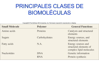 PRINCIPALES CLASES DE
    BIOMOLÉCULAS
 