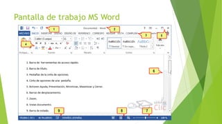 Pantalla de trabajo MS Word
 