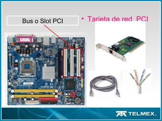 Bus o Slot PCI • Tarjeta de red PCI
 