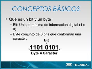 CONCEPTOS BÁSICOS
• Que es un bit y un byte
– Bit: Unidad mínima de información digital (1 o
0)
– Byte conjunto de 8 bits que conforman una
carácter.
1101 01011101 0101
Byte = CarácterByte = Carácter
BitBit
 