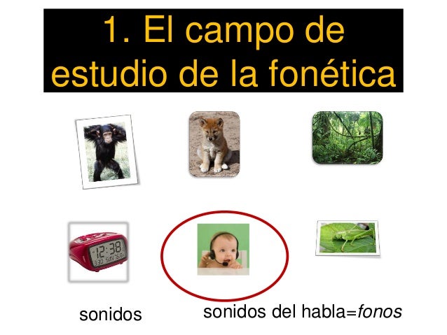 Clase 1 la fonetica y el inventario fonetico del español