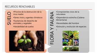 RECURSOS RENOVABLES
SUELO Provine de la destrucción de la
roca madre
Seres vivos y agentes climáticos
Sustancias de desecho de
animales y vegetales
Variabilidad de suelos
FLORA
Y
FAUNA
•Componentes vivos de la
naturaleza
•Dependencia estrecha (Cadena
Alimentaria)
•Necesidades del hombre
•Extinción y evolución de especies
•
 