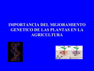 IMPORTANCIA DEL MEJORAMIENTO
GENETICO DE LAS PLANTAS EN LA
AGRICULTURA
 