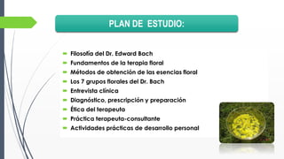  Filosofía del Dr. Edward Bach
 Fundamentos de la terapia floral
 Métodos de obtención de las esencias floral
 Los 7 grupos florales del Dr. Bach
 Entrevista clínica
 Diagnóstico, prescripción y preparación
 Ética del terapeuta
 Práctica terapeuta-consultante
 Actividades prácticas de desarrollo personal
PLAN DE ESTUDIO:
 