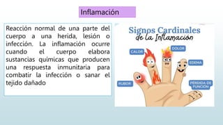Inflamación
Reacción normal de una parte del
cuerpo a una herida, lesión o
infección. La inflamación ocurre
cuando el cuerpo elabora
sustancias químicas que producen
una respuesta inmunitaria para
combatir la infección o sanar el
tejido dañado
 