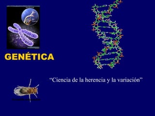 GENÉTICA
“Ciencia de la herencia y la variación”
 