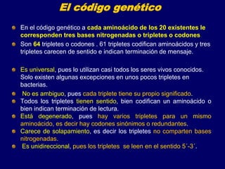 El código genético
En el código genético a cada aminoácido de los 20 existentes le
corresponden tres bases nitrogenadas o tripletes o codones
Son 64 tripletes o codones . 61 tripletes codifican aminoácidos y tres
tripletes carecen de sentido e indican terminación de mensaje.
Es universal, pues lo utilizan casi todos los seres vivos conocidos.
Solo existen algunas excepciones en unos pocos tripletes en
bacterias.
No es ambiguo, pues cada triplete tiene su propio significado.
Todos los tripletes tienen sentido, bien codifican un aminoácido o
bien indican terminación de lectura.
Está degenerado, pues hay varios tripletes para un mismo
aminoácido, es decir hay codones sinónimos o redundantes.
Carece de solapamiento, es decir los tripletes no comparten bases
nitrogenadas.
Es unidireccional, pues los tripletes se leen en el sentido 5´-3´.
 