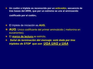 Un codón o triplete es reconocido por un anticodón, secuencia de
tres bases del ARNt, que por un extremo se une al aminoacido
codificado por el codón.
El triplete de iniciación es AUG.
AUG: Unico codificante del primer aminoácido ( metionina en
eucariontes).
El marco de lectura es estricto.
Señal de terminación del mensaje: está dada por tres
tripletes de STOP que son UGA UAG y UAA
 