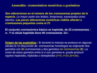 Anomalias cromosómicas numéricas o genómicas
Son alteraciones en el número de los cromosomas propios de la
especie. La mayor parte son letales, tempranas, expresadas como
abortos. Las pocas alteraciones numéricas viables afectan a
cromosomas pequeños como el 21.
El conjunto cromosómico básico es haploide, de 23 cromosomas -
n-. Y la célula haploide tiene 46 cromosomas -2n-.
Origen de las euploidías.- Si durante la meiosis se produce en algunas
células la no disyunción de cromosomas homólogos se originarán dos
gametos con 2n cromosomas y dos gametos sin cromosomas (0). La
unión de estos gametos entre sí o con gametos n, puede producir
cigotos haploides, triploides o tetraploides (n+0, n+2n,2n+2n).
 