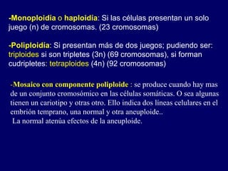 -Monoploidía o haploidía: Si las células presentan un solo
juego (n) de cromosomas. (23 cromosomas)
-Poliploidía: Si presentan más de dos juegos; pudiendo ser:
triploides si son tripletes (3n) (69 cromosomas), si forman
cudripletes: tetraploides (4n) (92 cromosomas)
-Mosaico con componente poliploide : se produce cuando hay mas
de un conjunto cromosómico en las células somáticas. O sea algunas
tienen un cariotipo y otras otro. Ello indica dos líneas celulares en el
embrión temprano, una normal y otra aneuploide..
La normal atenúa efectos de la aneuploide.
 