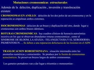 ROTURAS CROMOSOMICAS: hay cuadros clínicos de herencia autosómica
recesiva en los que se observan abundantes roturas cromosomicas , como el
SINDROME DE BLOOM, LAATAXIA –TELANGECTASIAY EL XERODERMA
PIGMENTOSUN…. Se deben a una reparacion defectuosa de las lesiones en el ADN
Mutaciones cromosomicas estructurales
CROMOSOMAS EN ANILLO: deleción de los dos polos de un cromosoma y en la
reparación se empalman ambos extremos.
ISOCROMOSOMAS : delecion de un brazo y duplicación del otro, dando lugar a
cromosomas con ambos brazos idénticos.
Además de la deleción, duplicación , inversión y translocación
existen:
TRASLOCACION ROBERTSONIANA : situación intermedia entre las
anomalías numéricas y estructurales. Se produce por la fusión de cromosomas
acrocéntricos. Se preservan brazos largos de ambos cromosomas.
Los gametos portadores van a dar lugar a trisomias o monosomias-
 