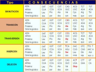 Tipo C O N S E C U E N C I A S
 